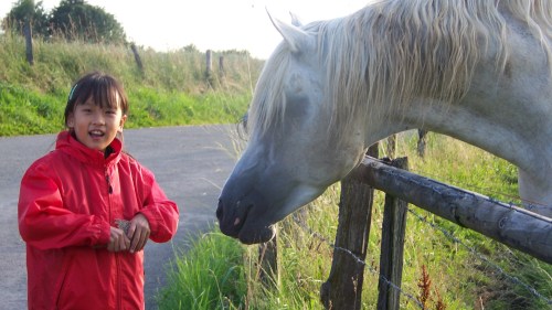 luna-et-le-cheval luna-et-le-cheval